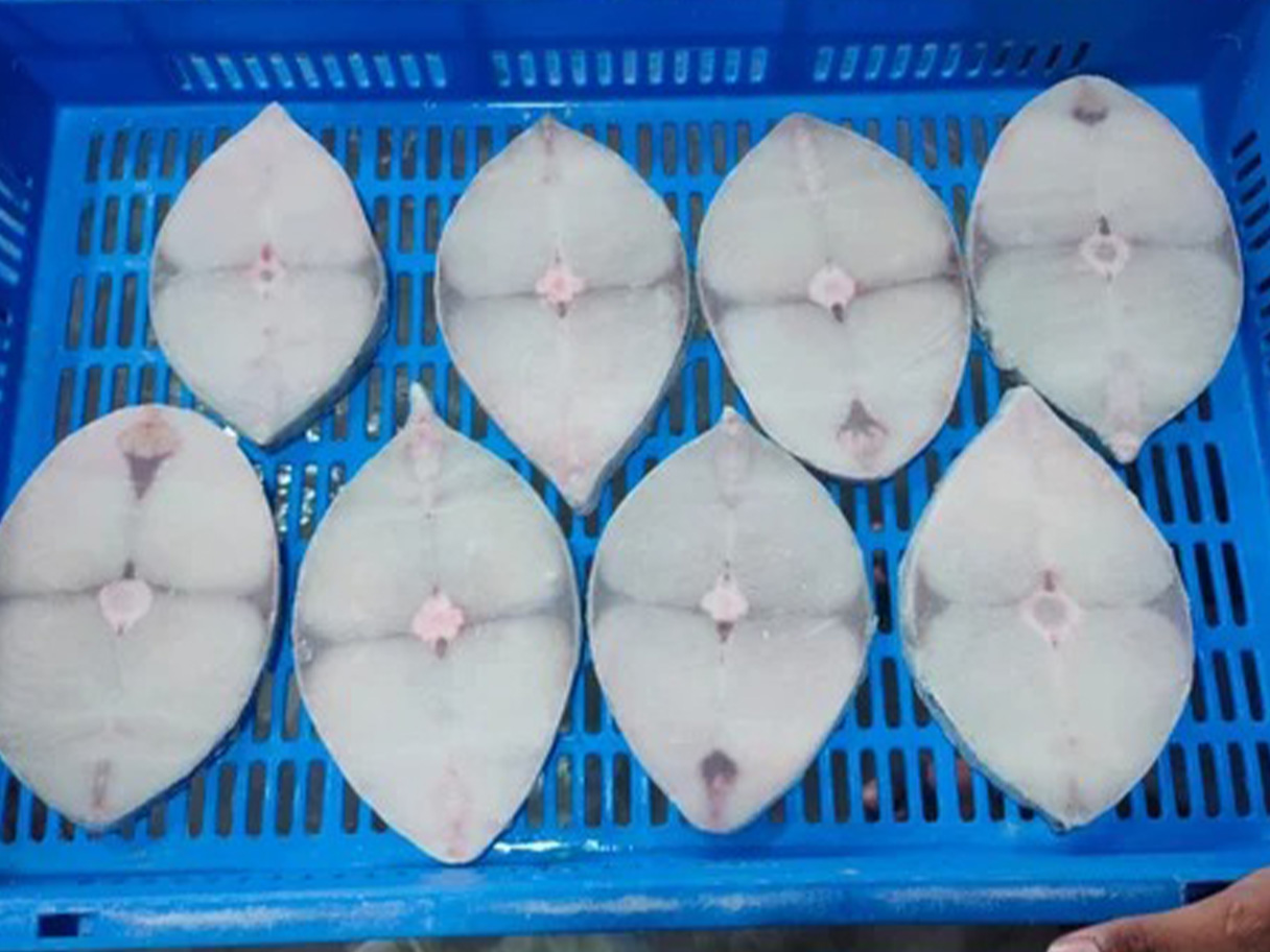Kingfish Steaks